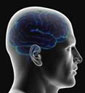 Preserving our most valuable asset -- the brain